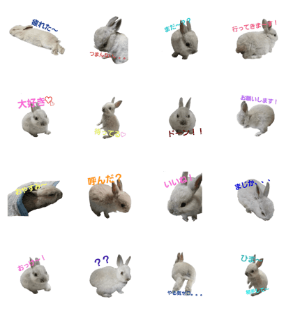 miniusaGuutan miniusaGuutan