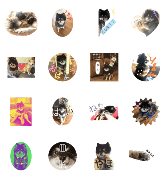 世界一かわいいポメラニアンさてつちゃん Lineクリエイターズスタンプ Stamplist 世界一かわいいポメラニアンさてつちゃん Lineクリエイターズスタンプ Stamplist