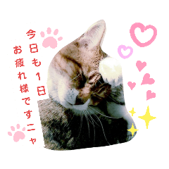 yukina_20210630131413