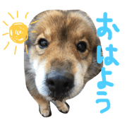 MEI MY FAMILY MEI MY FAMILY