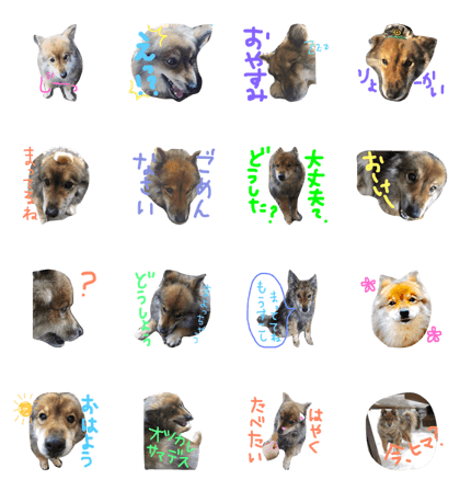 MEI MY FAMILY MEI MY FAMILY