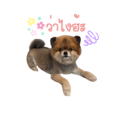 Bogiee_20210729213058