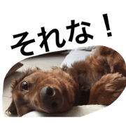 Milk and Kinaco part2 Milk and Kinaco part2