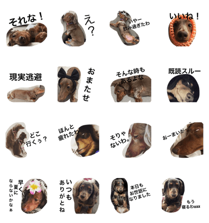 Milk and Kinaco part2 Milk and Kinaco part2