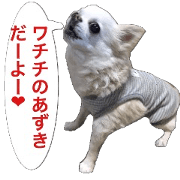 Mr.Thank you and amusing friends 47