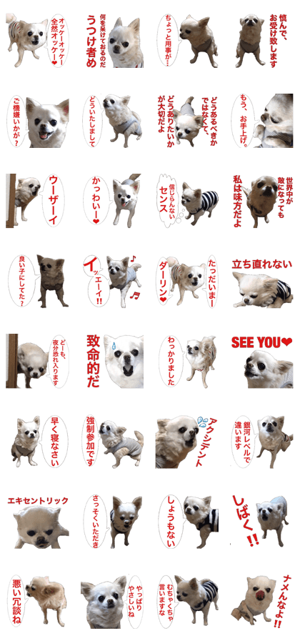 Mr.Thank you and amusing friends 47