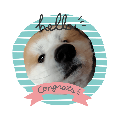 NOZOMI_20210714195739