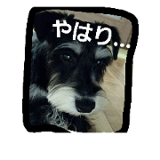 nakazato yutaro nakazato yutaro