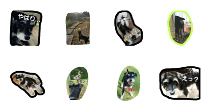 nakazato yutaro nakazato yutaro