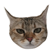 Meow Family Meow Family