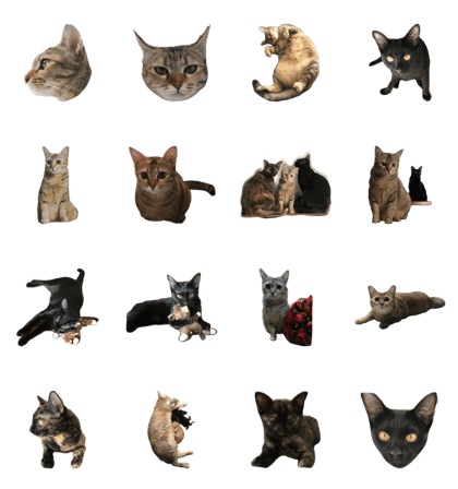 Meow Family Meow Family