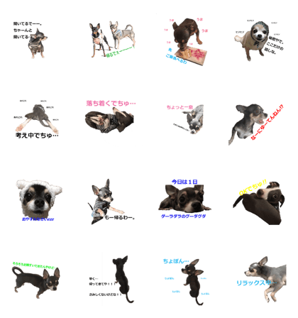 three brothers dog part 3