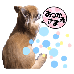 ERIRIN_20210730193146