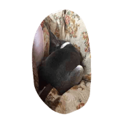 Shirasu-Chan Shirasu-Chan