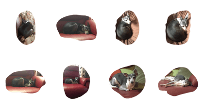 Shirasu-Chan Shirasu-Chan