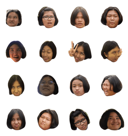 vine leaves vine leaves