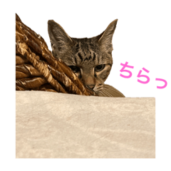 NANAMI_20210725191100