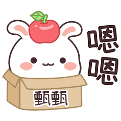 嬌嬌兔姓名貼_甄甄專用