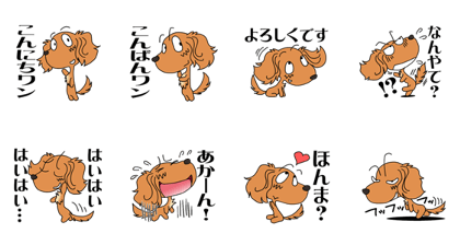 Dachshund of Osaka