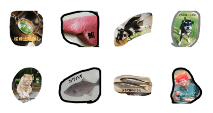 nakazato fishshop nakazato fishshop