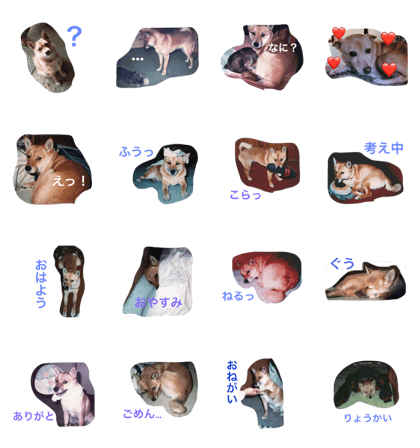 Our Family Dogs Our Family Dogs