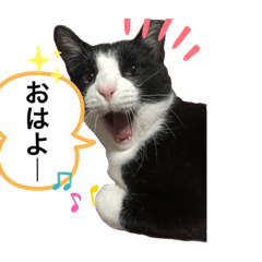 asuka_20210725211726