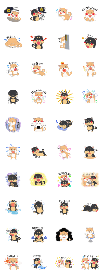 Two Japanese Shiba inu Two Japanese Shiba inu