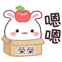 嬌嬌兔姓名貼_榮榮專用