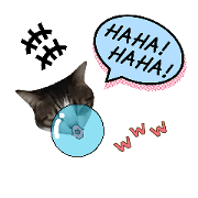 Nora of a cat and Terry 3 Nora of a cat and Terry 3