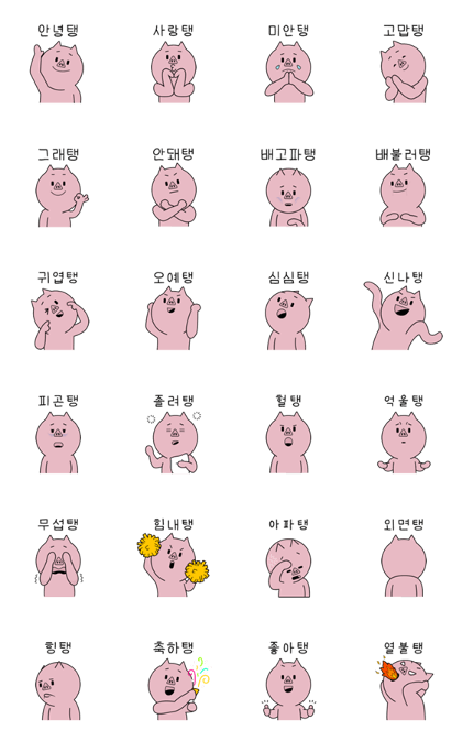 A pig Taeng's daily life A pig Taeng's daily life