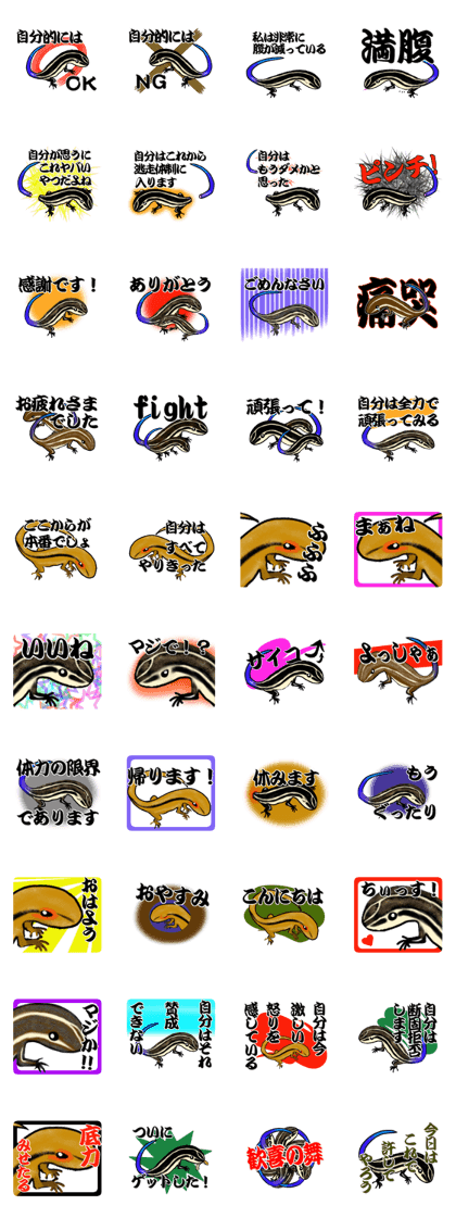 Plestiodon japonicus Plestiodon japonicus