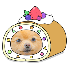 romuta_20210730203648