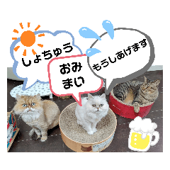 sakurako_20210710171918