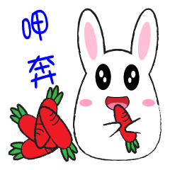 Fat rabbit - daily response