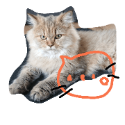 MARO's everydaystamp MARO's everydaystamp