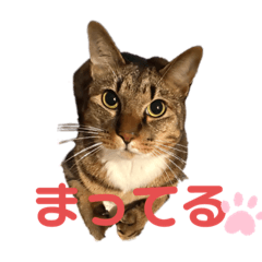 Miki_20210708140941
