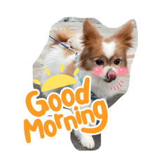 ayumi_20210702234813