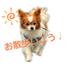 ayumi_20210704221759