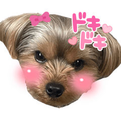 ayumi_20210703013138