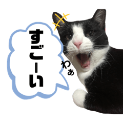 asuka_20210730221902