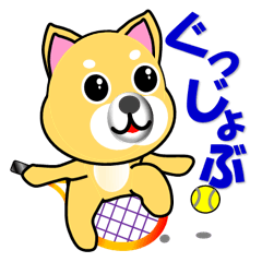 柴犬のテニス