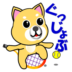 A shiba inu which plays tennis