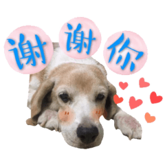 優美愛你
