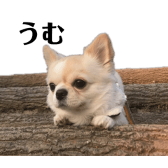 azu_20210730234117