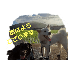 ラブラドールスタンプ Lineクリエイターズスタンプ Stamplist ラブラドールスタンプ Lineクリエイターズスタンプ Stamplist