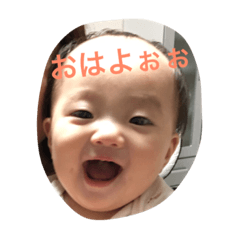 はると あおい