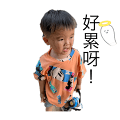 恐龍阿胤