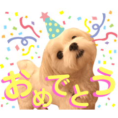 Sayuri_20210730212315