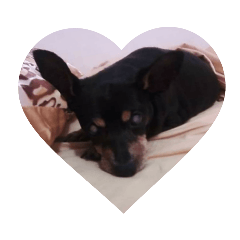 最愛洪娜娜媽咪的洪Jimmy