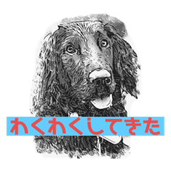 kazuki_20210721212349